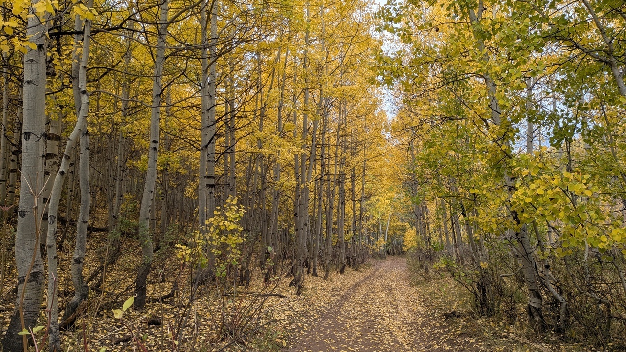 Fall 2025 Camping Trip